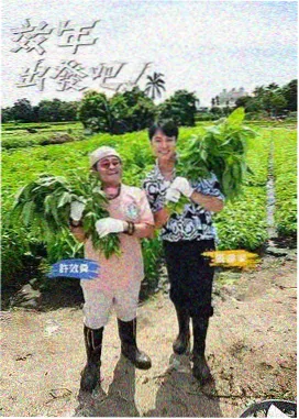 韩国综艺偶像厨房在线播放
