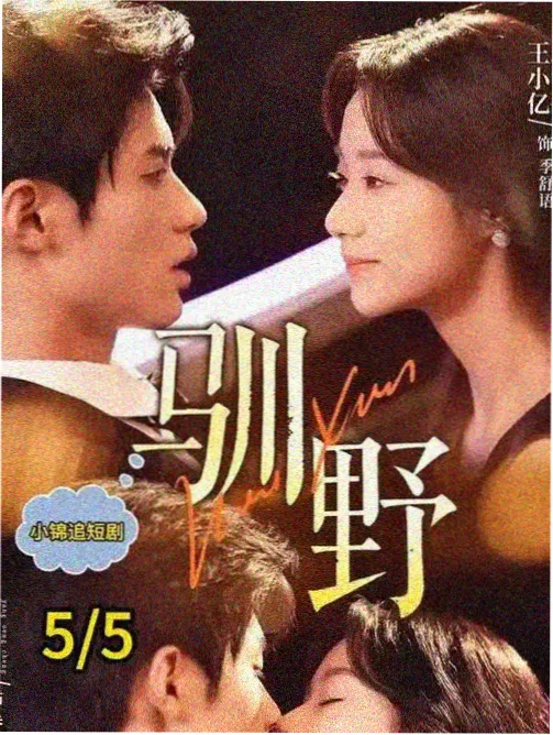 韩剧梨泰院小酒馆在线观看